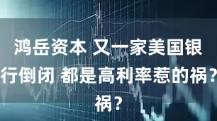 鸿岳资本 又一家美国银行倒闭 都是高利率惹的祸？