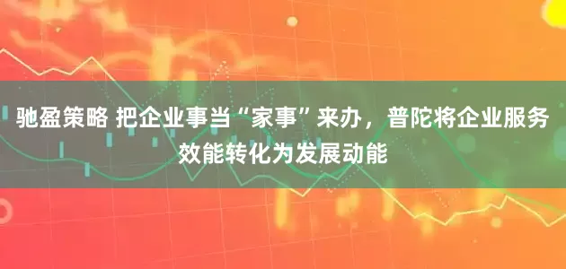 驰盈策略 把企业事当“家事”来办，普陀将企业服务效能转化为发展动能