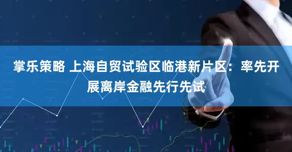 掌乐策略 上海自贸试验区临港新片区：率先开展离岸金融先行先试